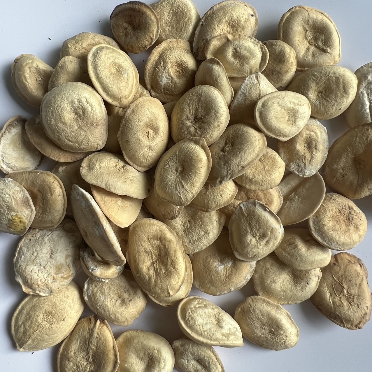 Hạt mã tiền khô 100g - tấn phát