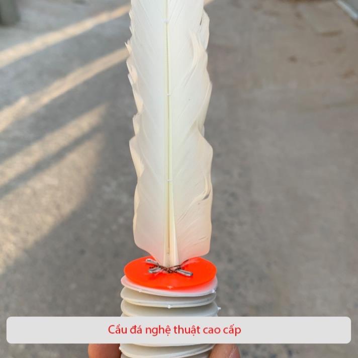 Compo 5 quả cầu đá thể thao Mèo Đen Số 4