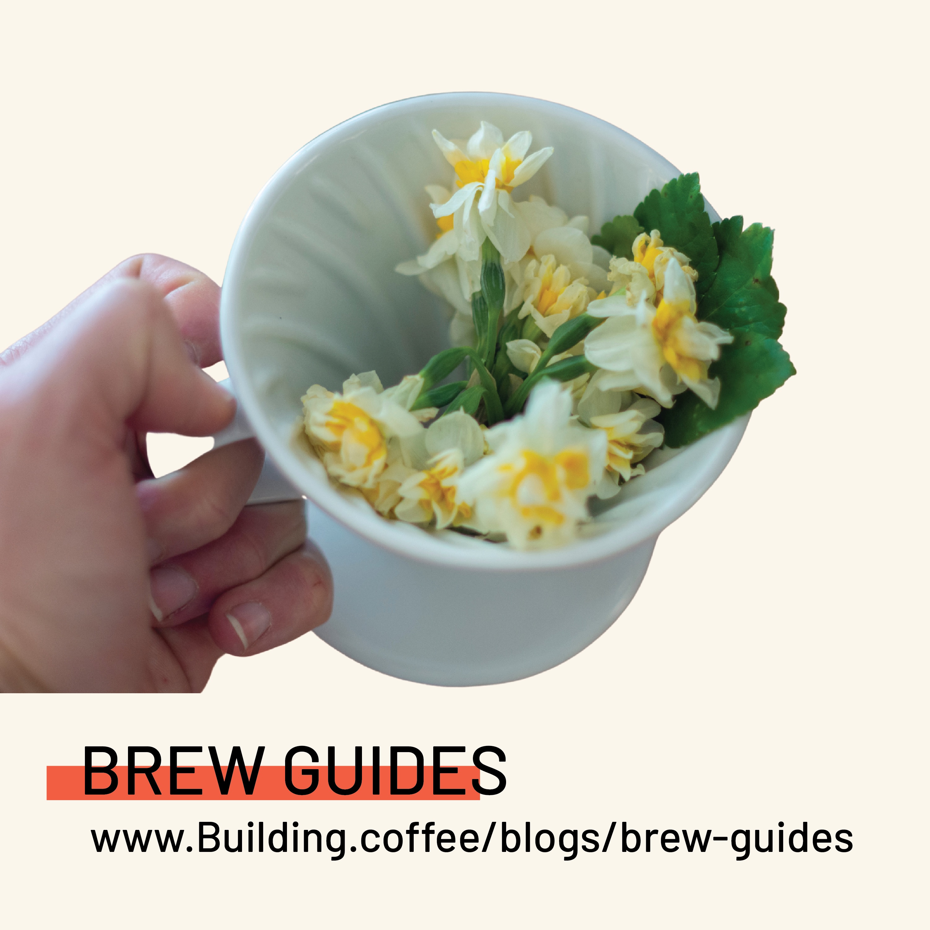 COLOMBIA HUILA DECAF (250g)