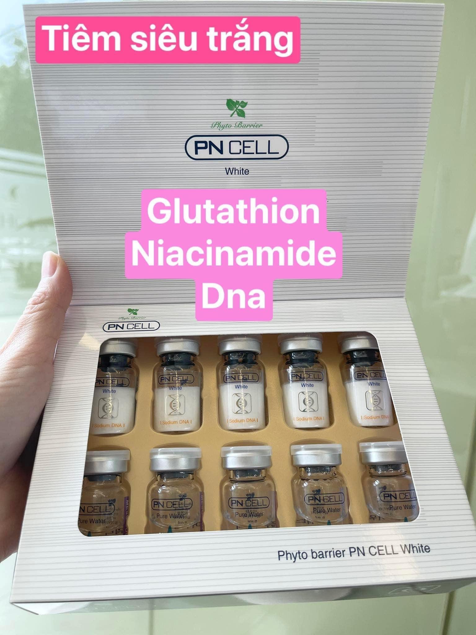 Tế Bào Gốc giảm nám Trắng da PN Cell White