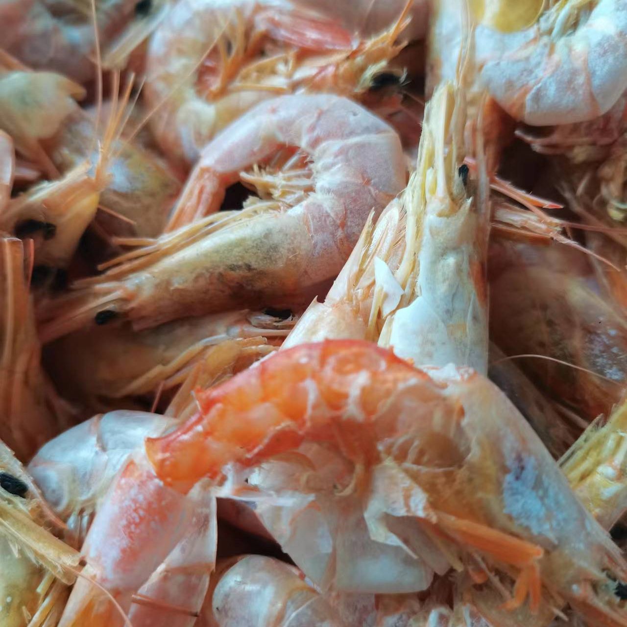 Tôm đất Cà Mau Nguyên Vỏ- LÀNG CÁ NAM BỘ