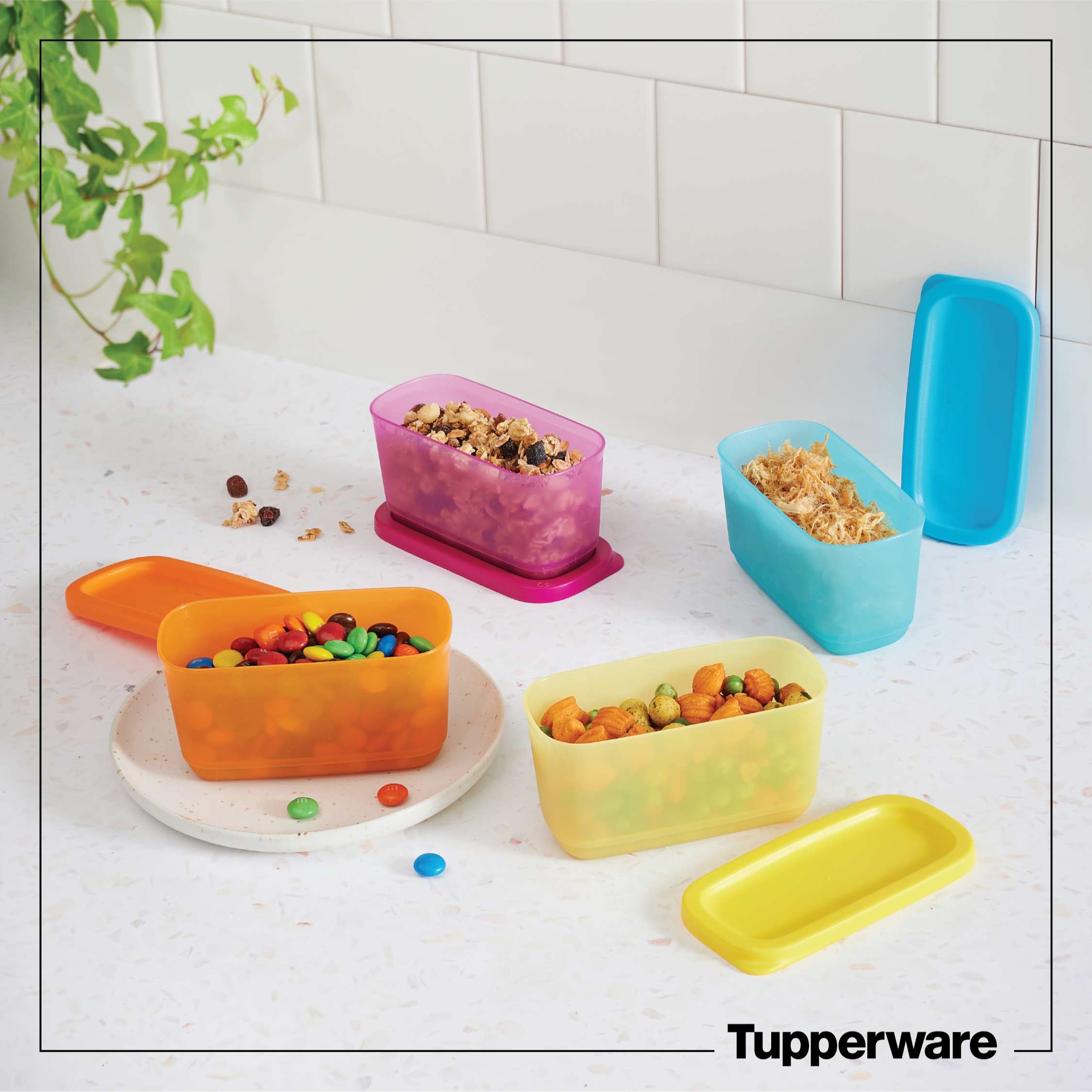 Bộ hộp bảo quản thực phẩm Tupperware Mini Rectangular 250ml (Set 4)