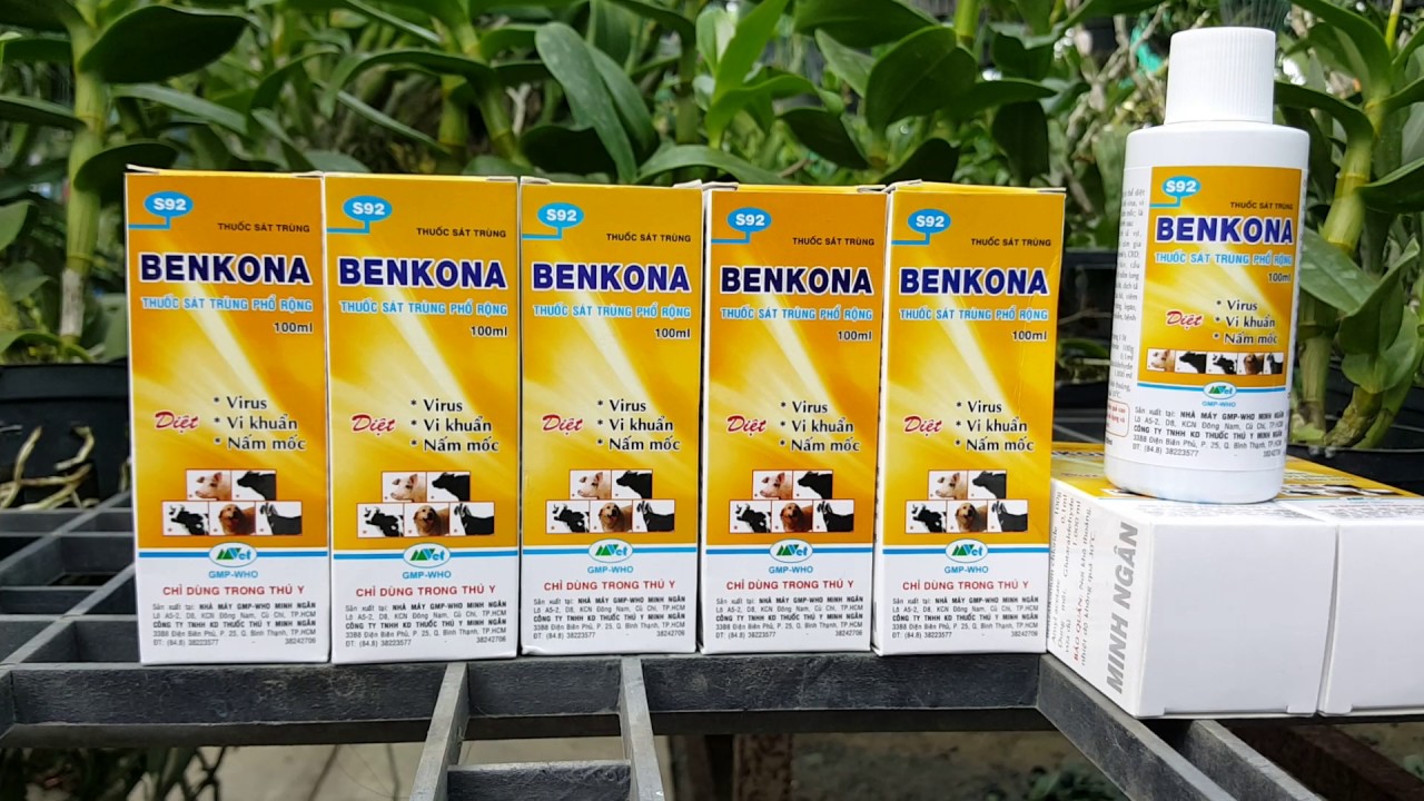 Benkona - Dung dịch sát trùng chai 1 lít.