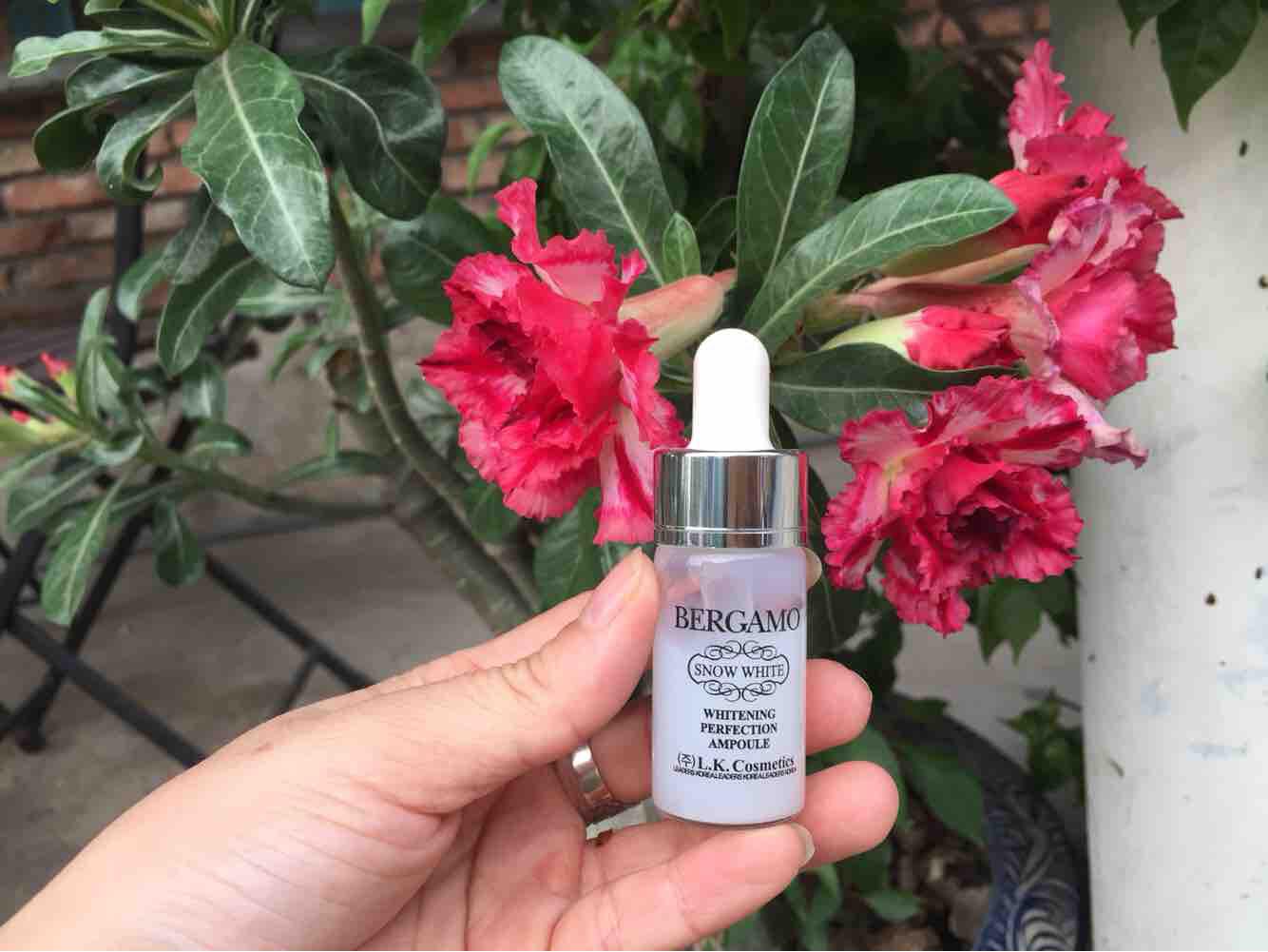 1 chai Serum Hàn Quốc làm đẹp da Bergamo 13 ml