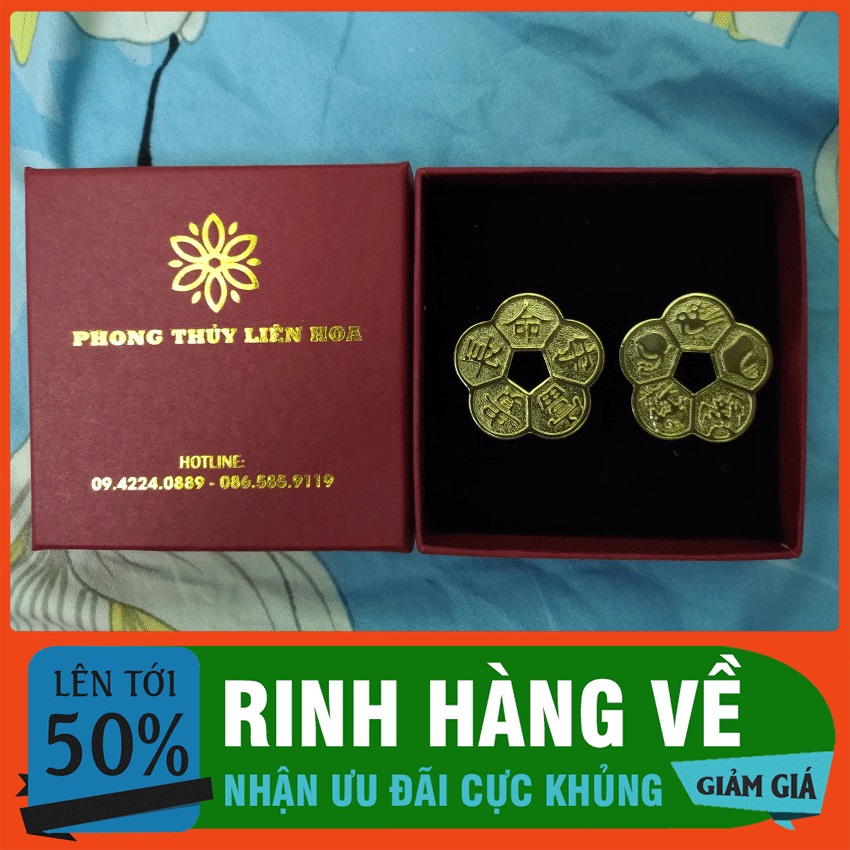 Đồng Xu Hoa Mai Kim Tiền