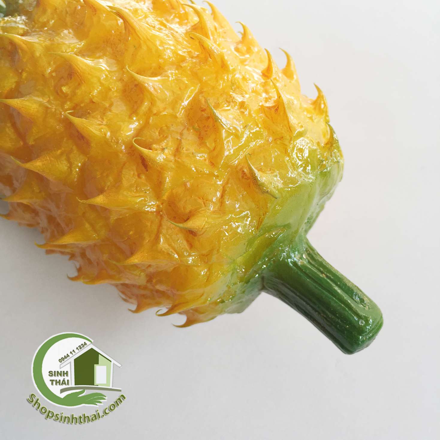 [HCM]Trái khóm trái thơm quả dứa giả màu vàng