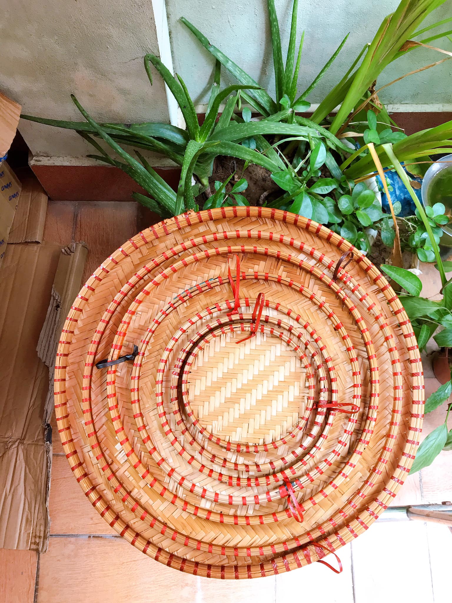 Mẹt tre viền đỏ 18cm