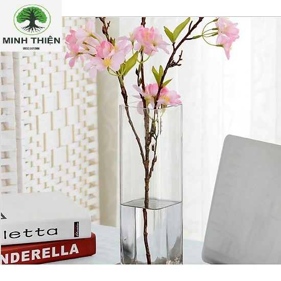 [HCM]BÌNH THUỶ TINH TRỤ VUÔNG 10CM x 15CM