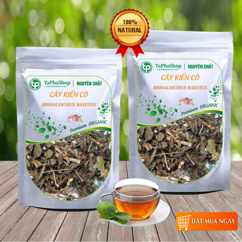 Cây kiến cò sấy khô túi lớn loại 500g  - Hàng công ty chất lượng cao - Thảo Dược Tấn Phát