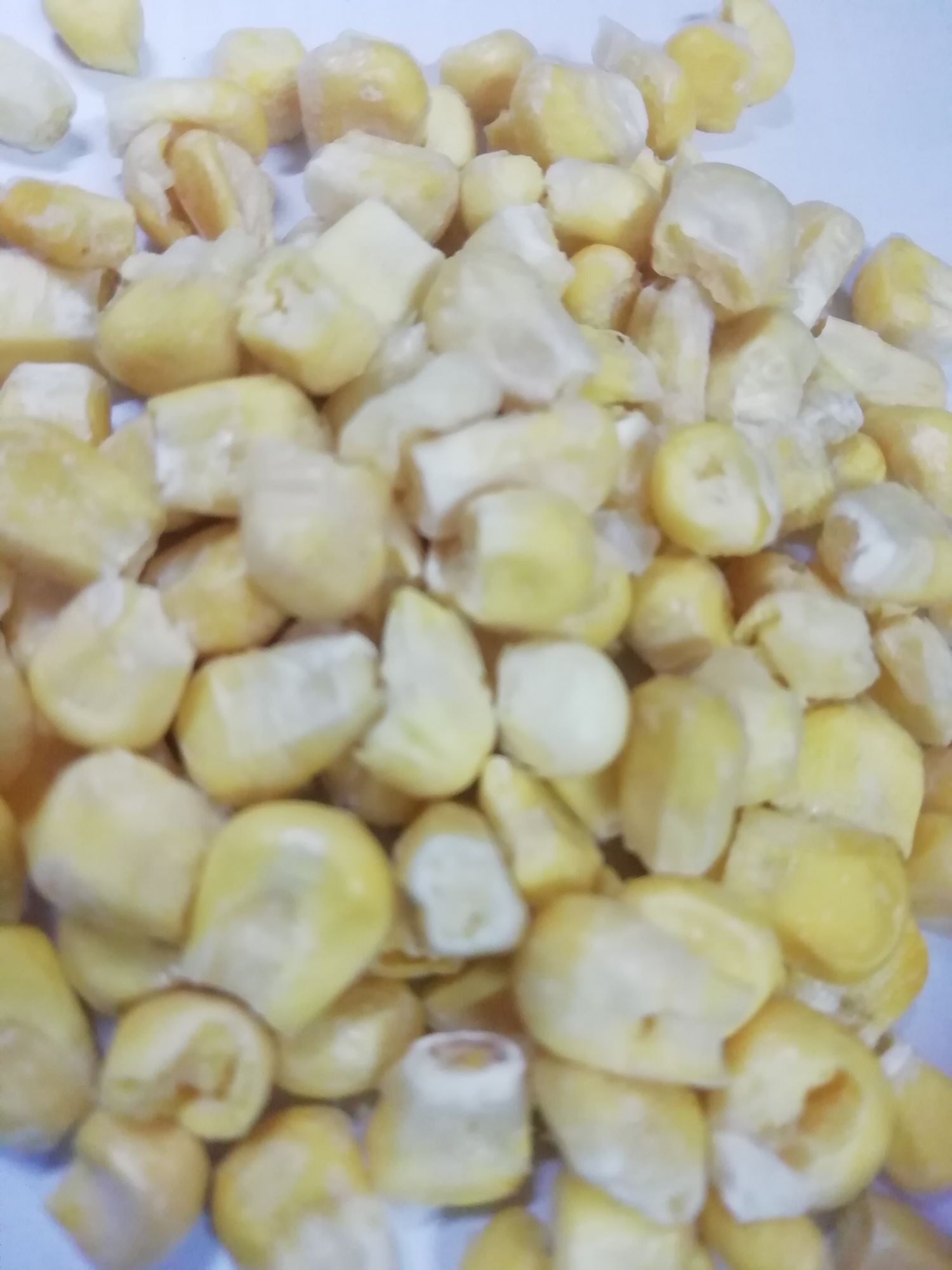 Combo thức ăn dặm hỗn hợp hamster