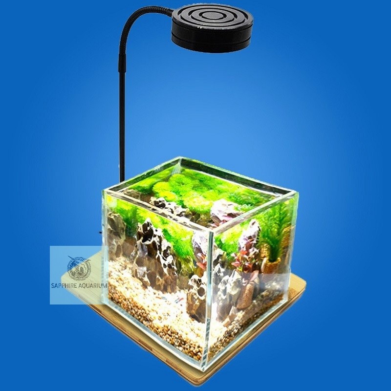 Đèn led bể cá đế gỗ 5w