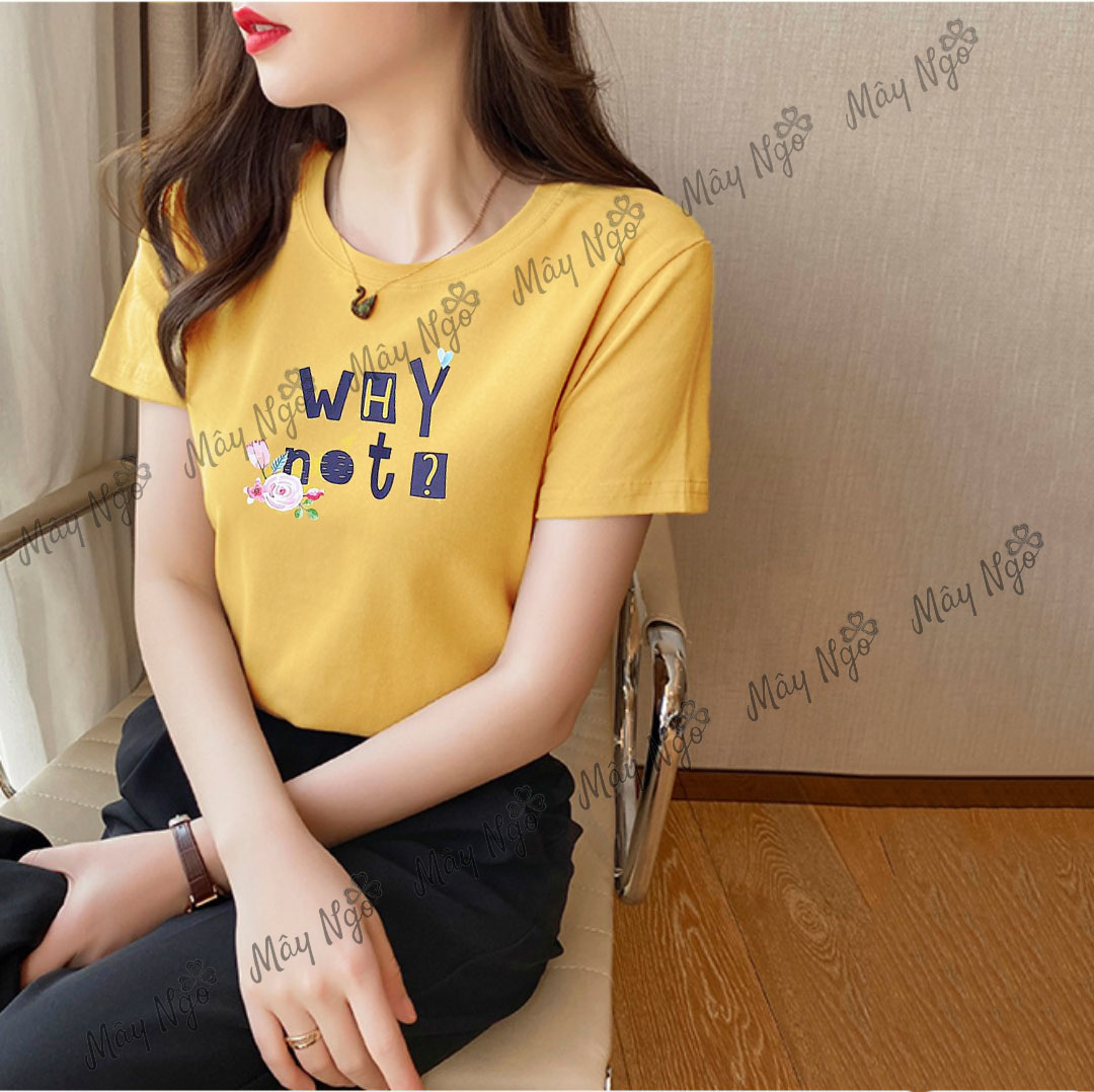 Áo thun nữ thun thái xịn co giãn dáng ôm vừa