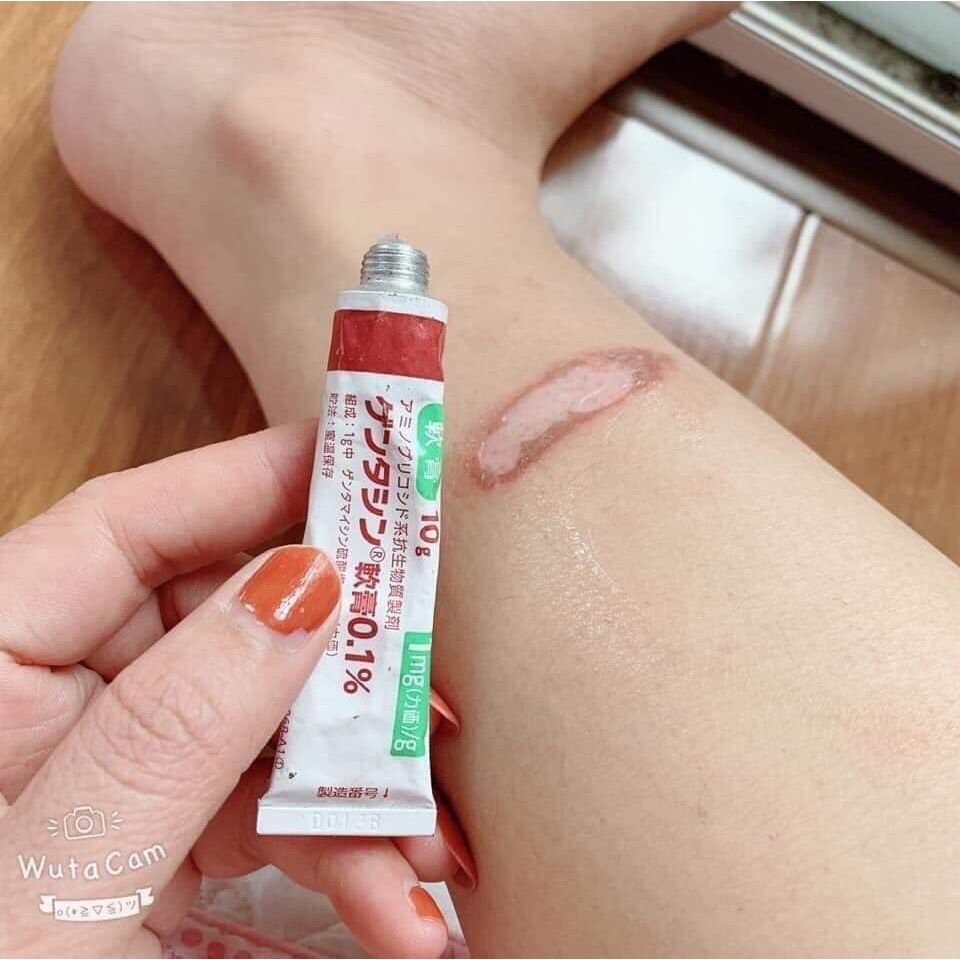 Kem Làm Mờ Sẹo Gentacin Ointment 0.1% 10g