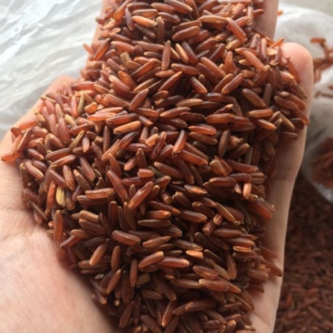 Sỉ toàn quốc 2kg gạo lứt huyết rồng gạo đỏ