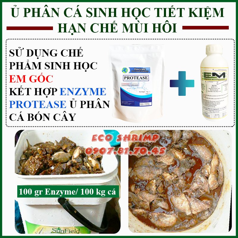 Enzyme Protease Ủ Phân Cá Sinh Học - Tiết Kiệm - Hạn Chế Mùi Hôi