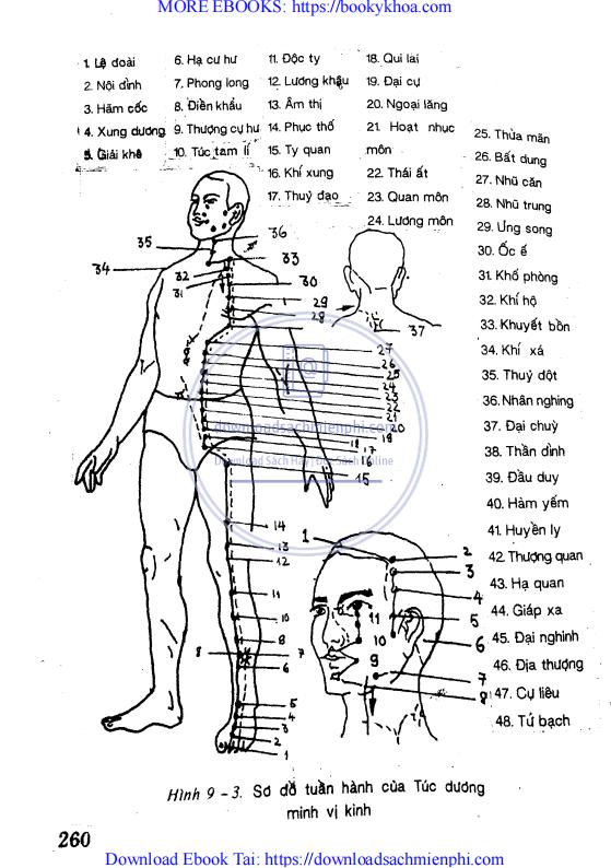 Sách Đại Nhạn Khí Công