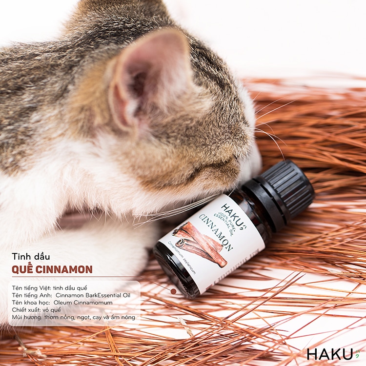 Cinnamon Essential Oil