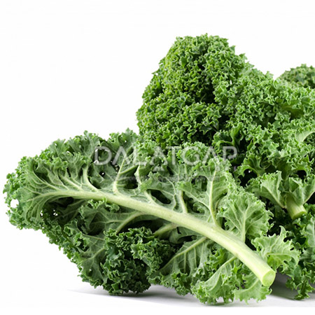 Hạt giống cải xoăn kale xanh