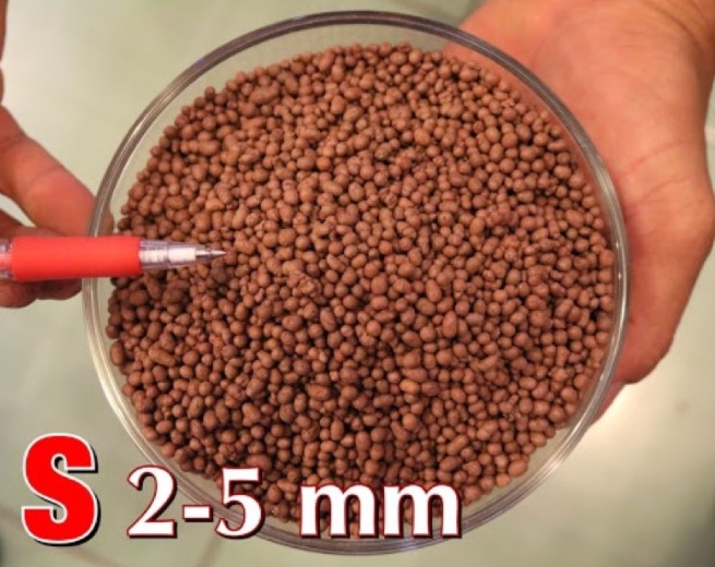 Viên đất nung Trồng Sen Đá, Cây Cảnh