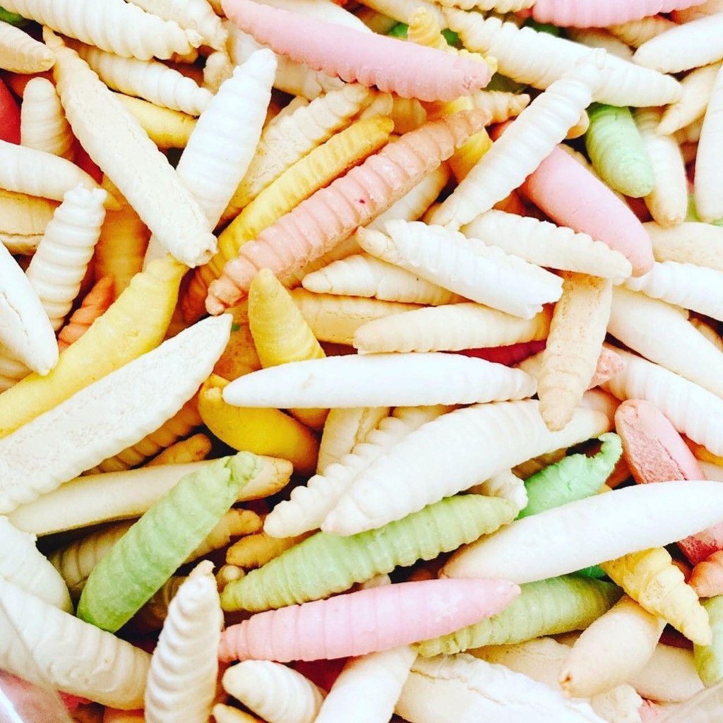 Bánh men con sâu