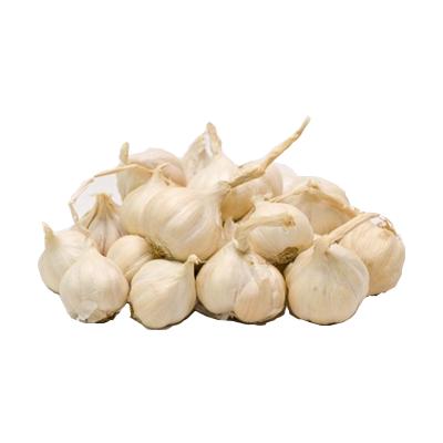 [HCM](GÍA ƯU ĐÃI - PHÒNG NGỪA CẢM CÚM) 500 gam Tỏi Lý Sơn  - Đặc sản Quảng Ngãi