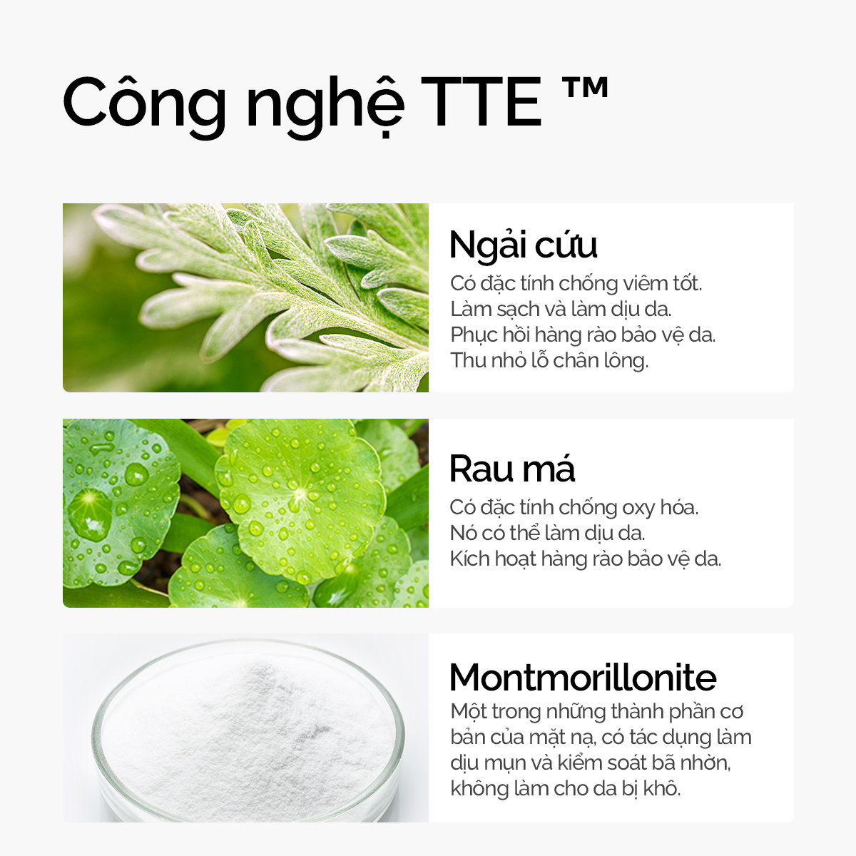 SKINTIFIC Mugwort ANTI PORES & MẶT NẠ ĐẤT SÉT Mặt Nạ bùn MỤN Mặt Nạ Cấp ẩm Mặt Nạ Ngải Cứu 55g