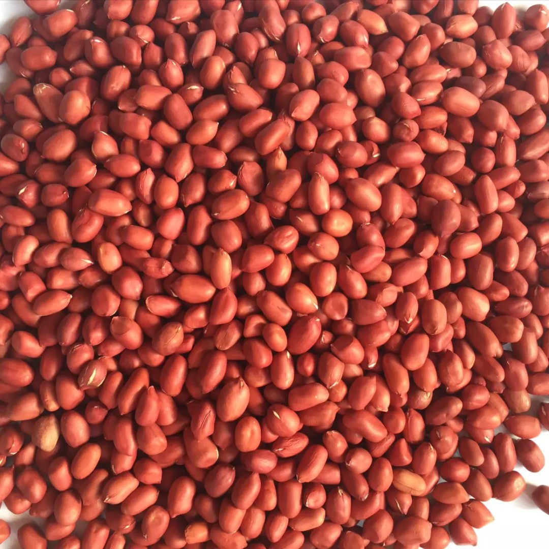 Lạc đỏ Nam Định/Lạc đỏ/ Đậu Phộng đỏ/ 1kg