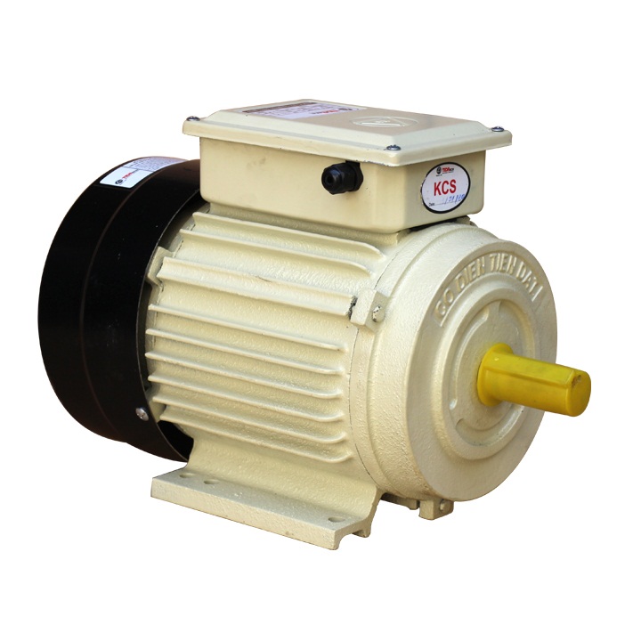 ĐỘNG CƠ ĐIỆN TIẾN ĐẠT 2HP-2900