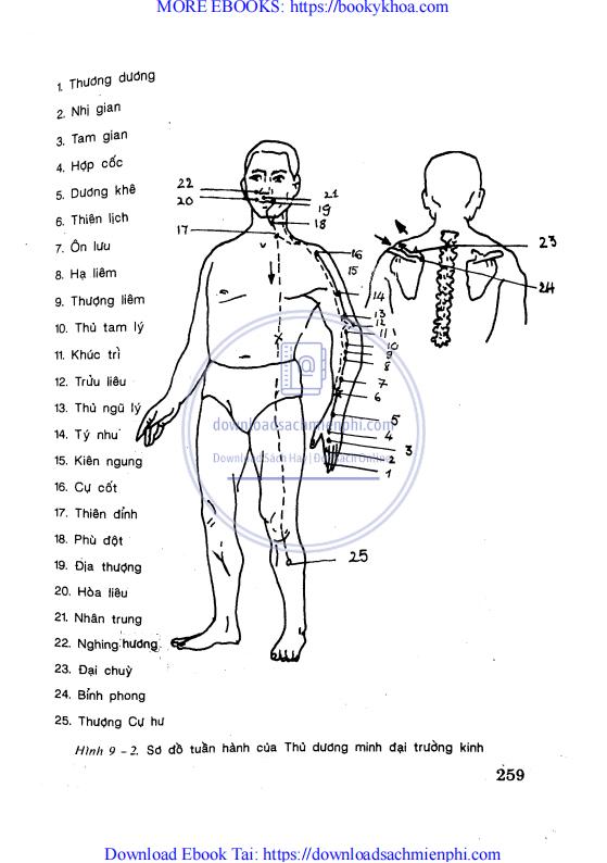 Sách Đại Nhạn Khí Công