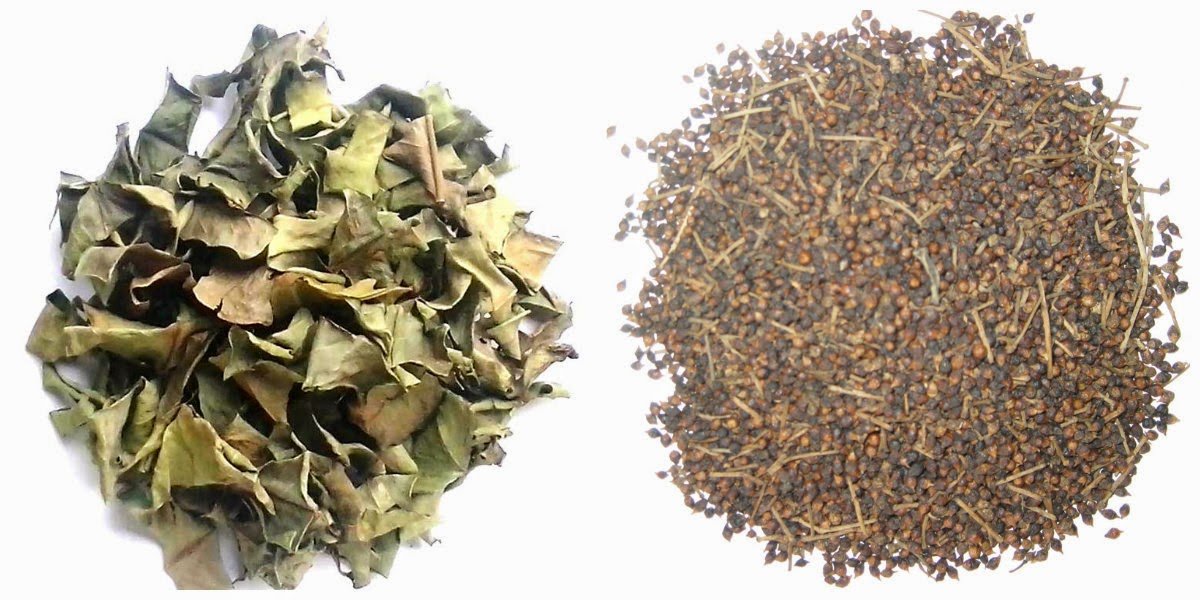500gr Nụ Vối Khô