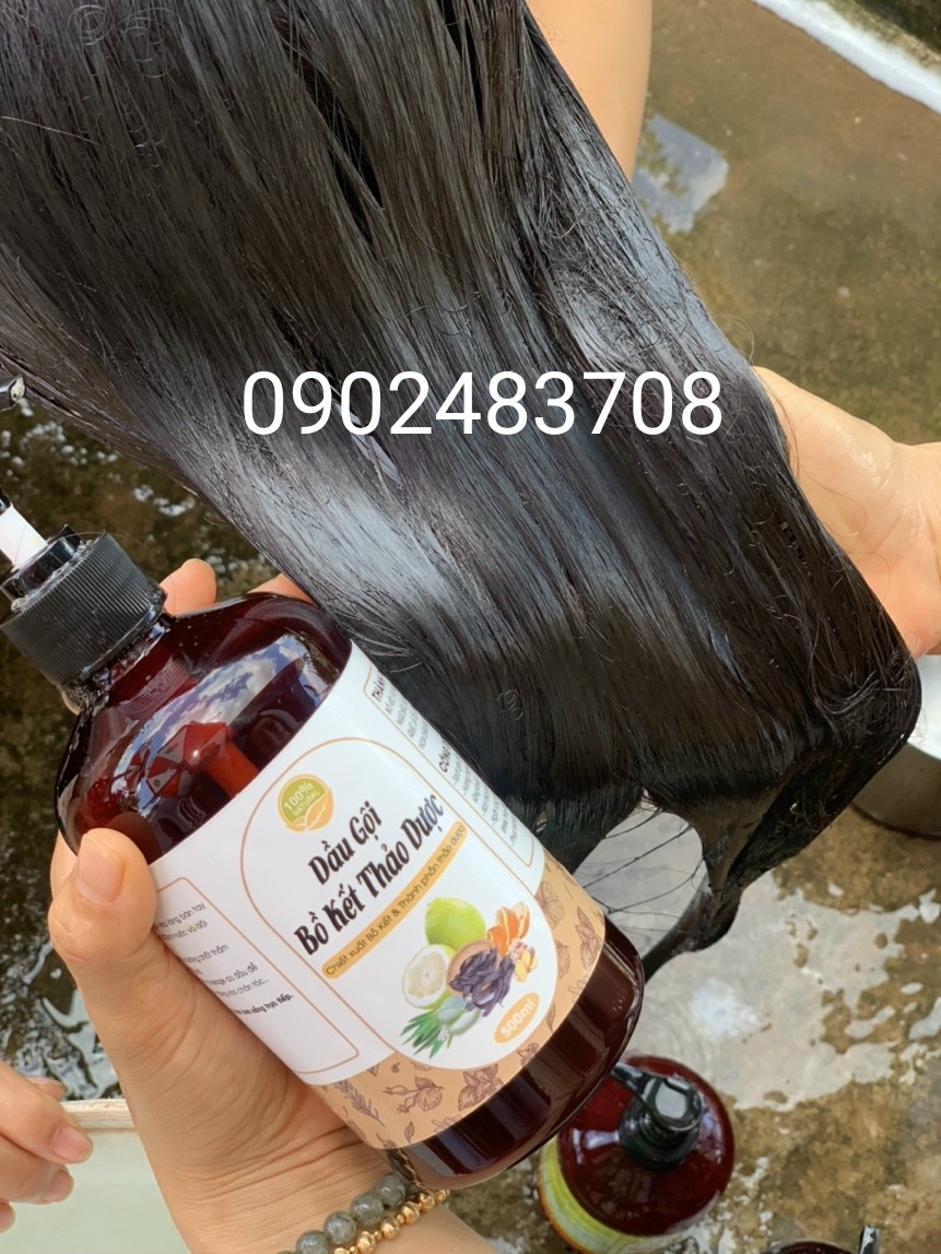 Dầu gội thảo mộc, dưỡng sinh ( loại bỏ gàu, nấm ngứa, giảm gãy rụng tóc)