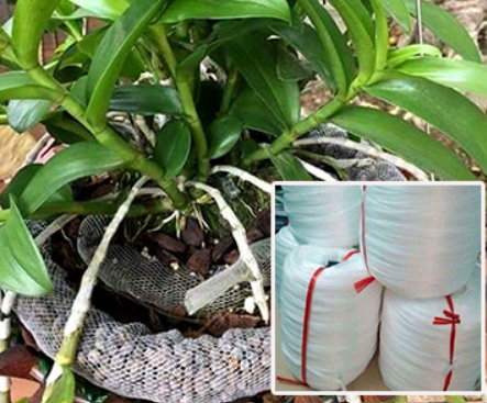 Túi Lưới Đựng Phân Tan Chậm - Phân Dê Cho Lan