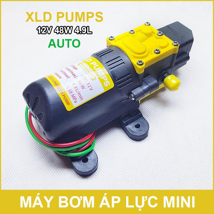 Máy bơm mini 12V 48W 4.9L