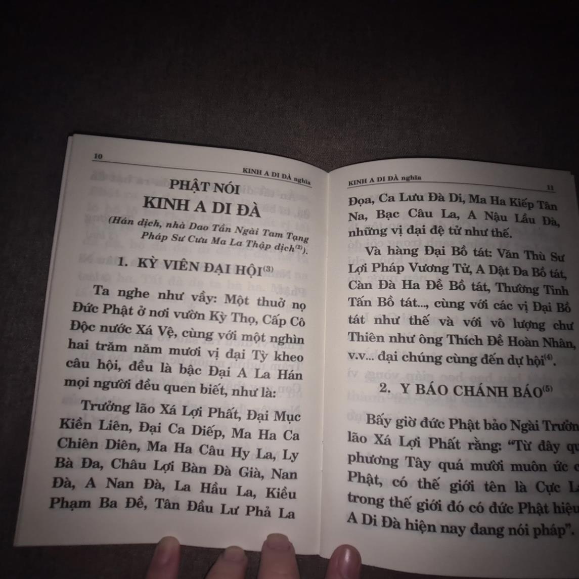 Kinh A Di Đà Nghĩa HT Thích Trí Tịnh