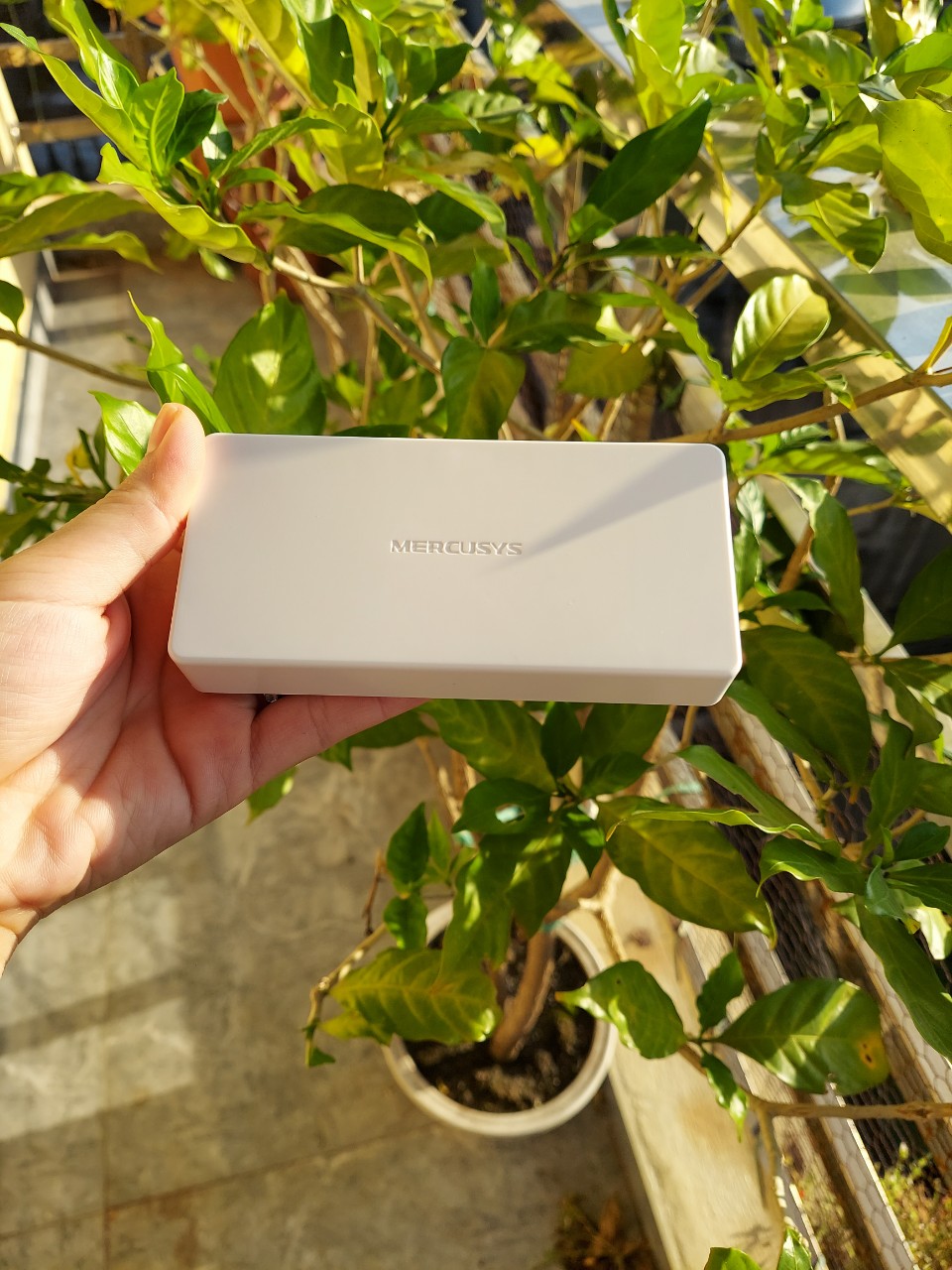 Bộ Chia Mạng Switch 5 cổng TP-LINK TL-SF1005D 10/100Mbps