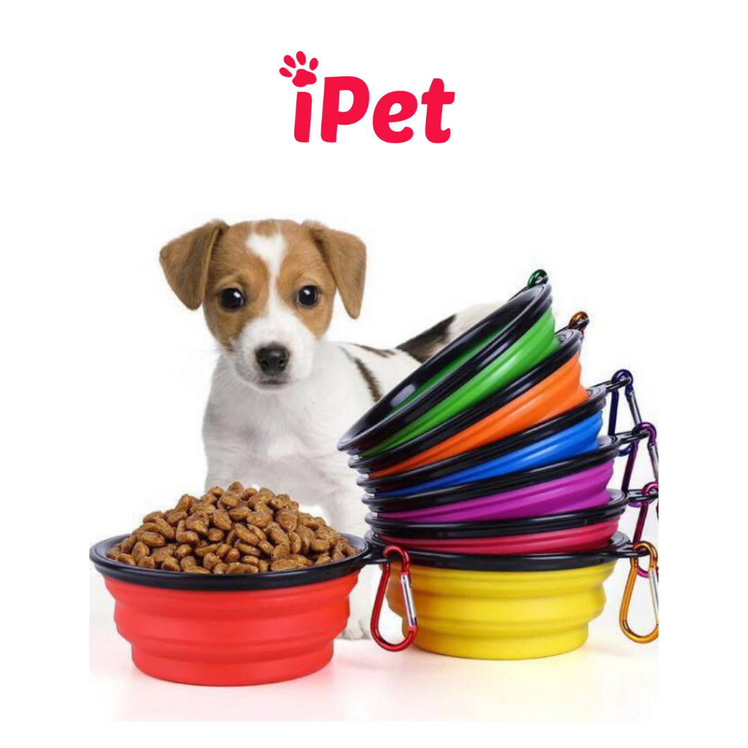 Bát Ăn Cho Thú Cưng Chó Mèo Du Lịch Tiện Lợi - iPet Shop