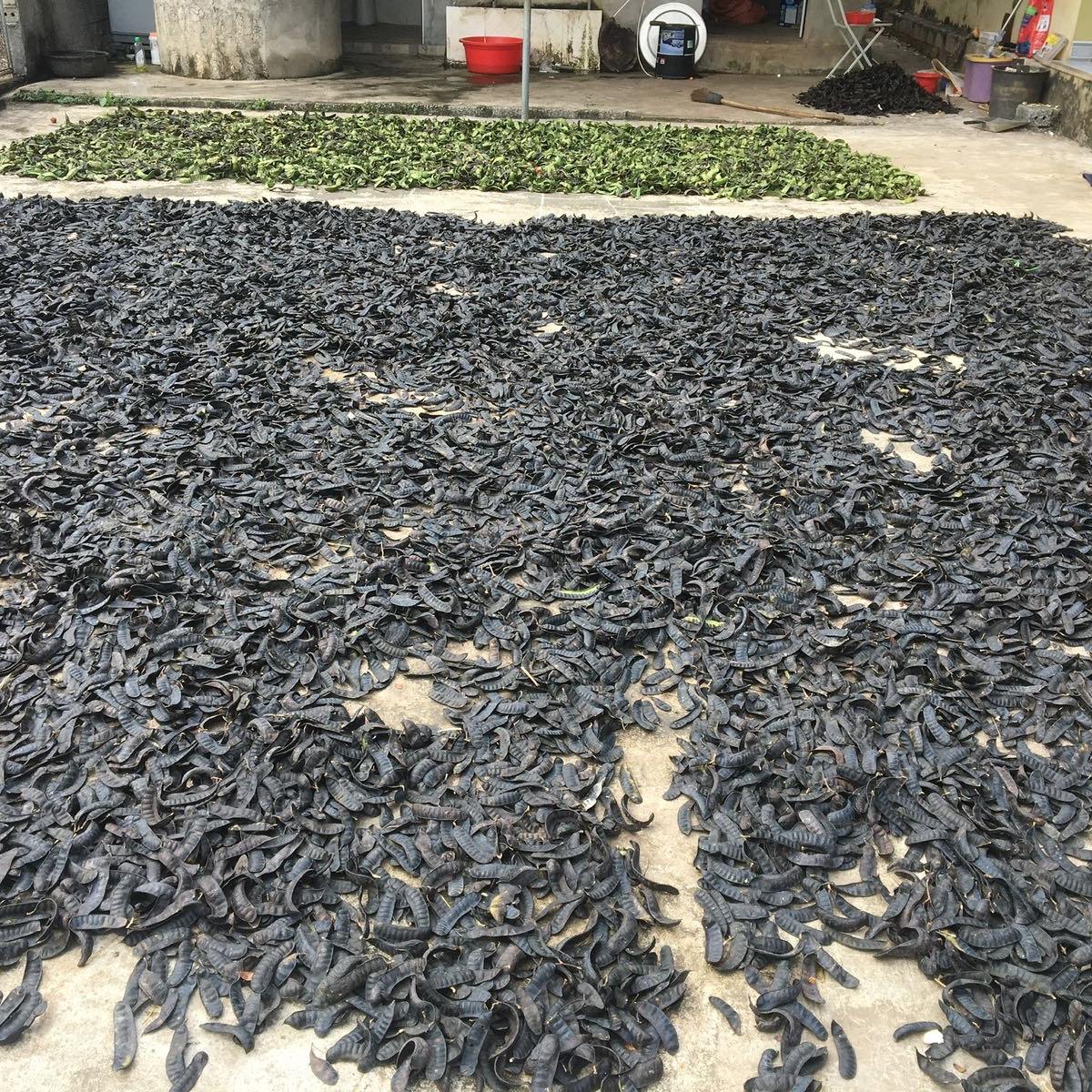 Bồ kết rang thơm gói 300g