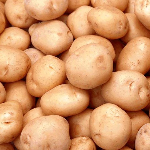 10kg khoai tây