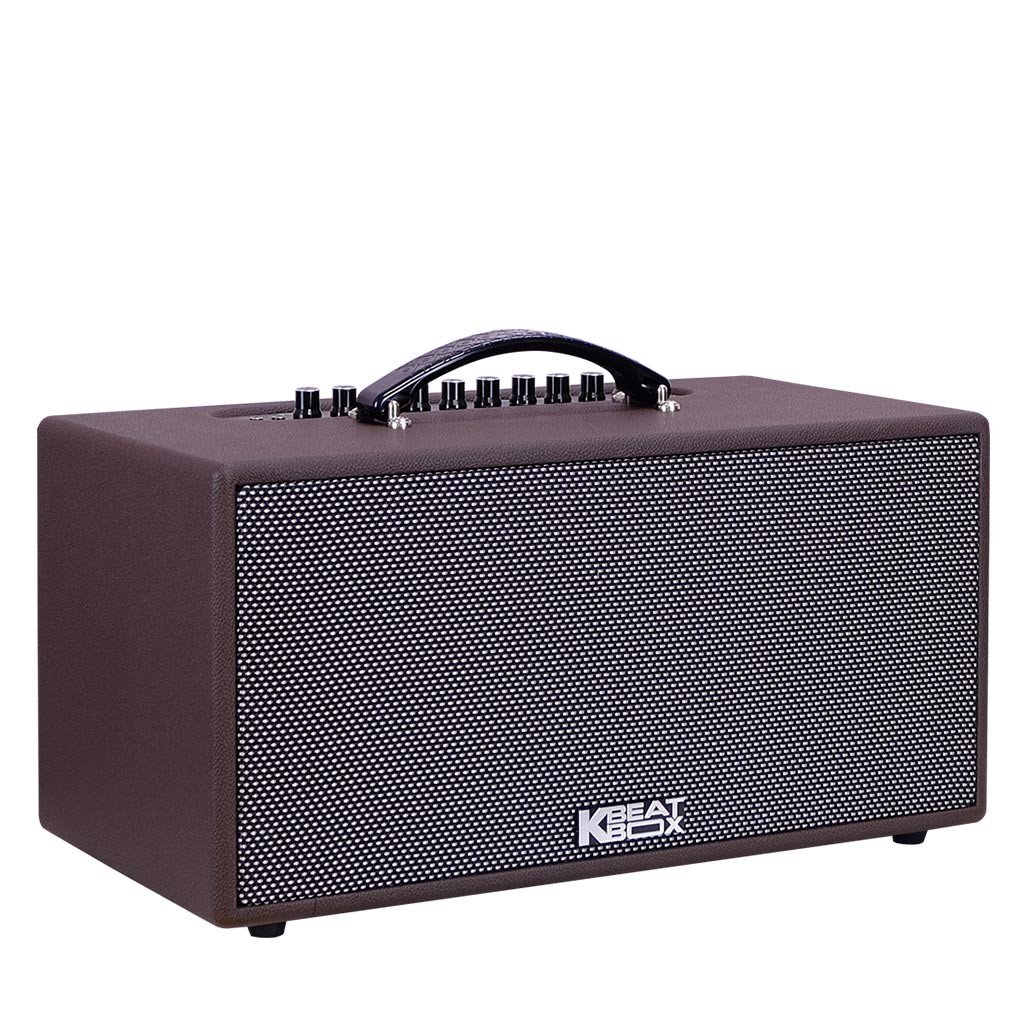 Loa Karaoke Di Động Acnos CS391