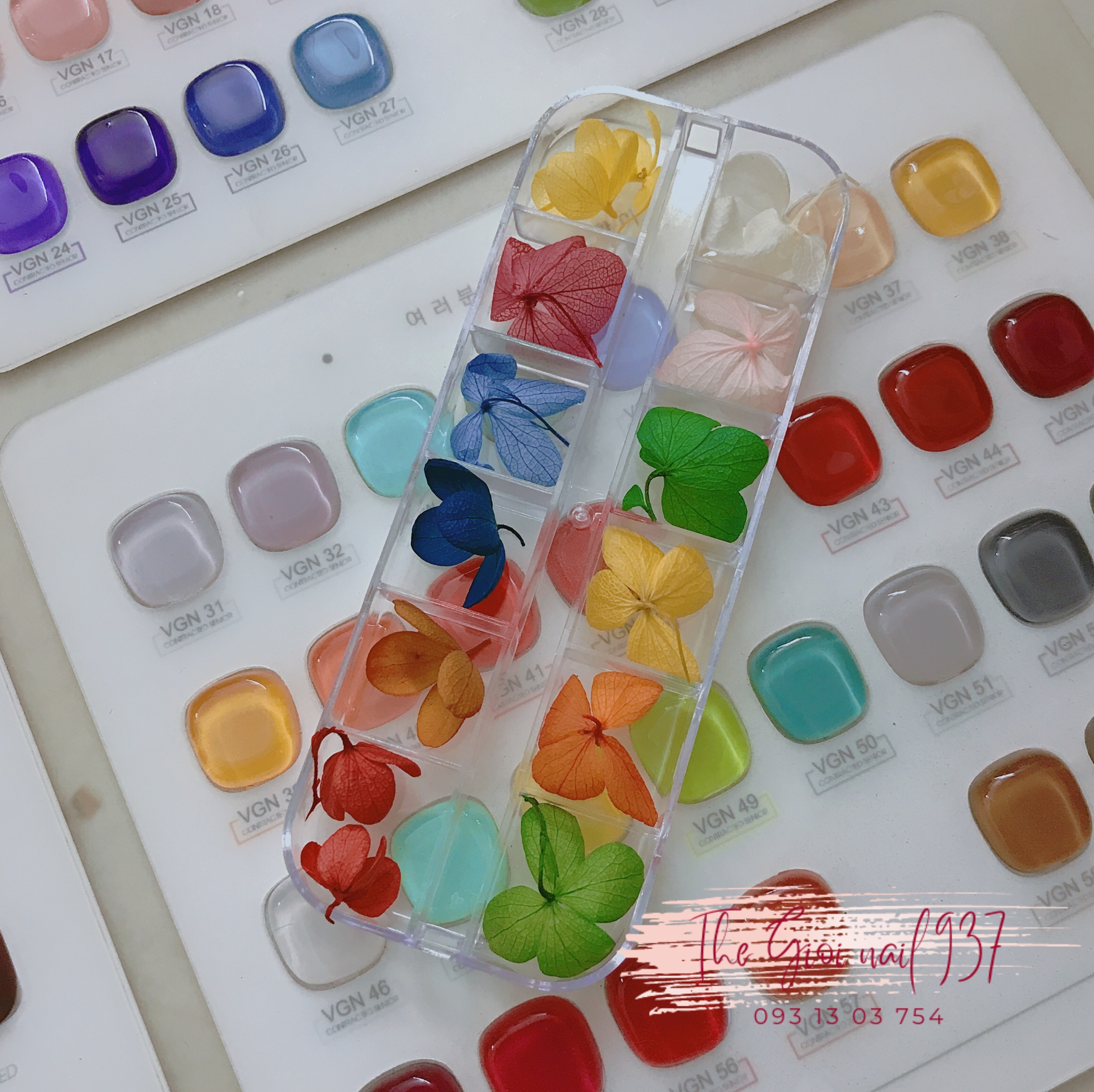Hoa cẩm tú cầu khô- dụng cụ trang trí nail đẹp