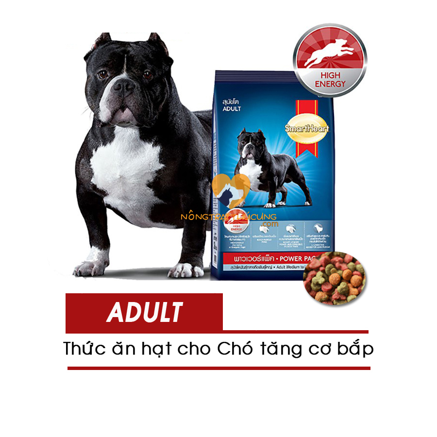 Hạt cho chó lớn smartheart adult dog power pack 20kg - giúp tăng cơ bắp -