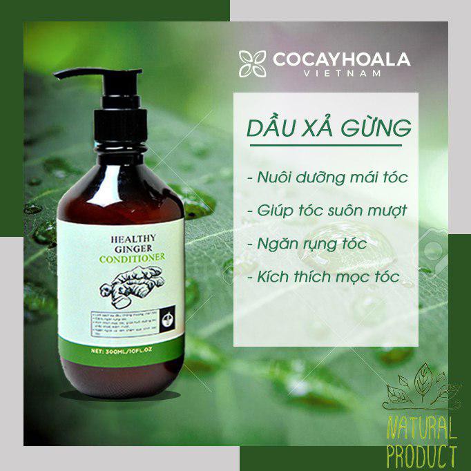 [ DATE 2023] Dầu Xả Gừng Tươi Cocayhoala 300ml