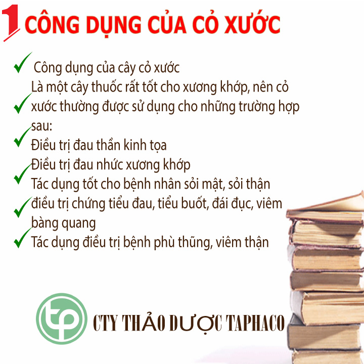 Cây cỏ xước khô 500g - Thảo Dược Tấn Phát