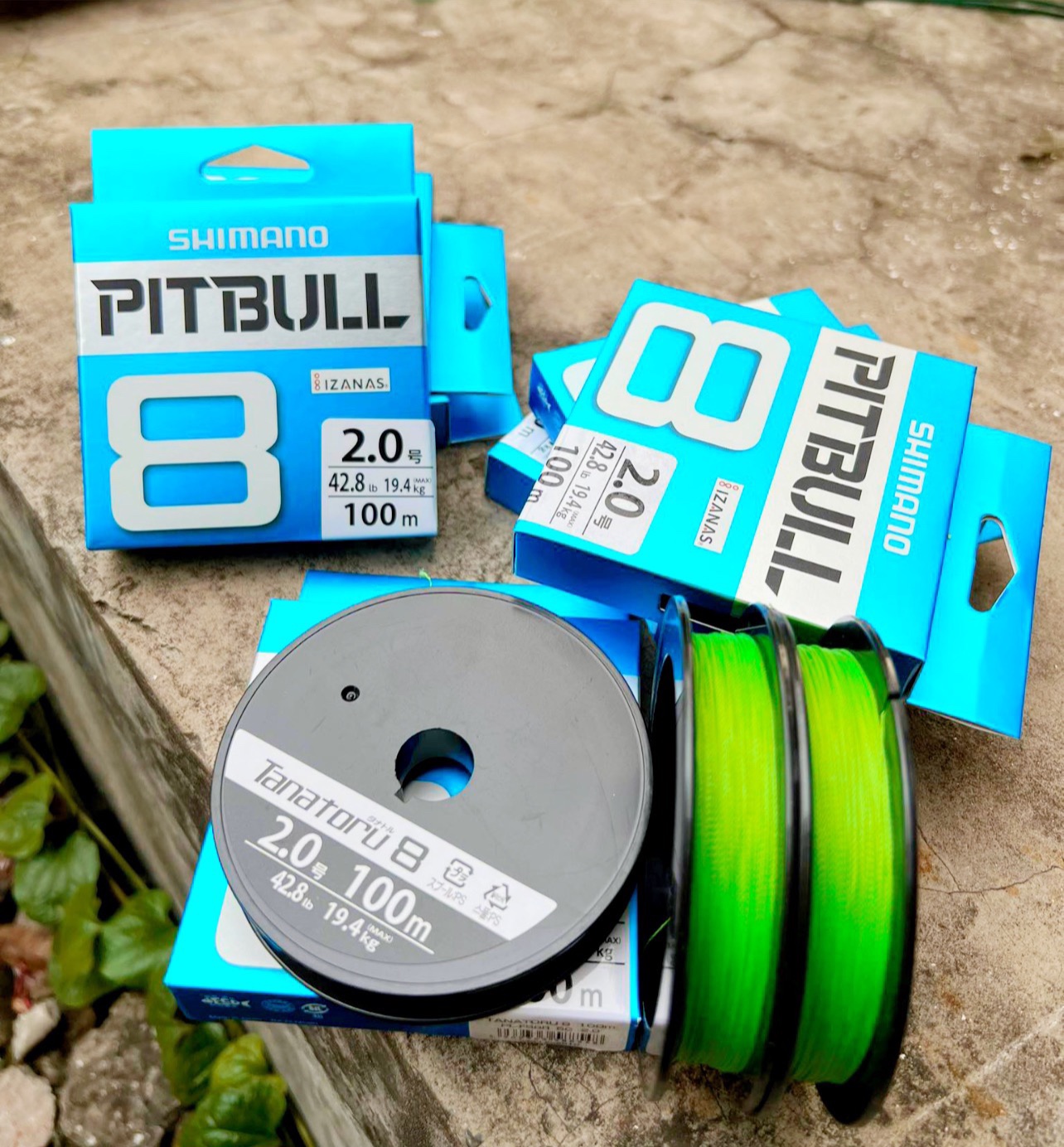 Dù Câu Cá PE Shimano PITBULL x8 100 m