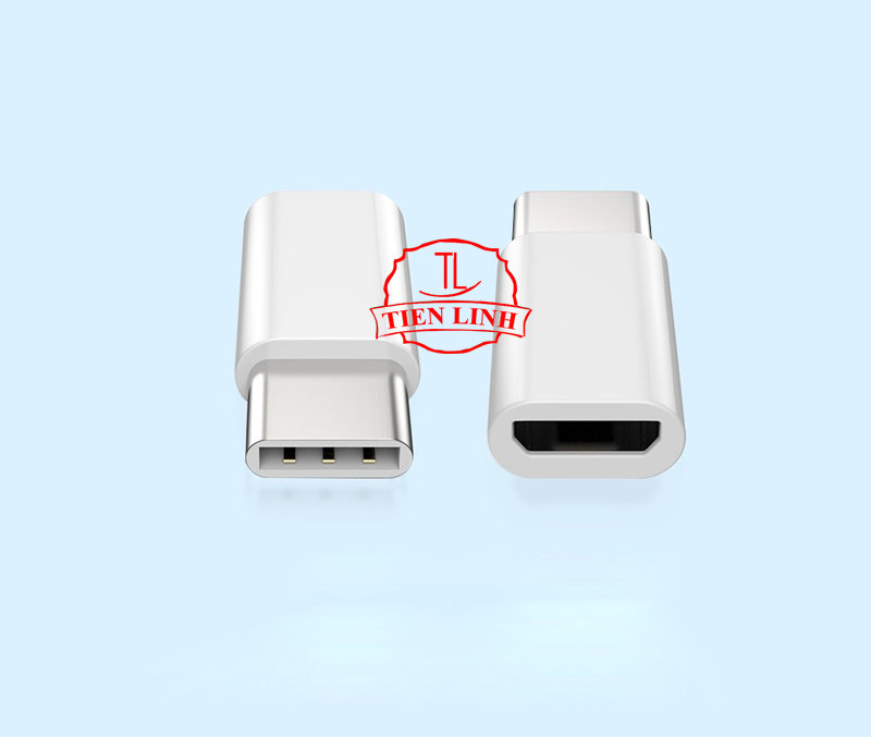 Bộ 2 cái đầu chuyển đổi chân Micro USB (Cái) sang Type C