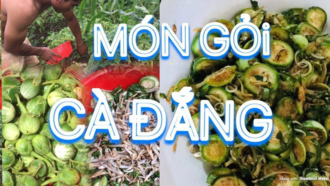 1kg cà đắng tây nguyên (đặc sản)