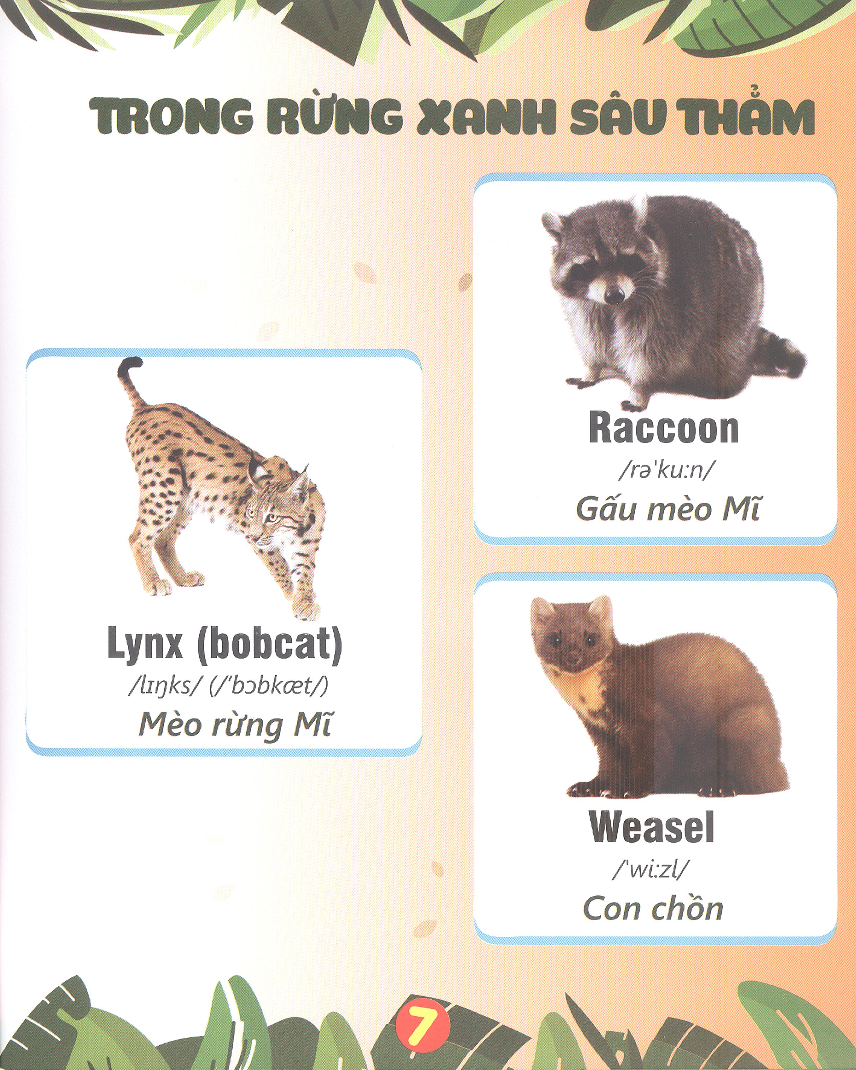 Cuốn Sách Đầu Tiên Của Bé - Động Vật