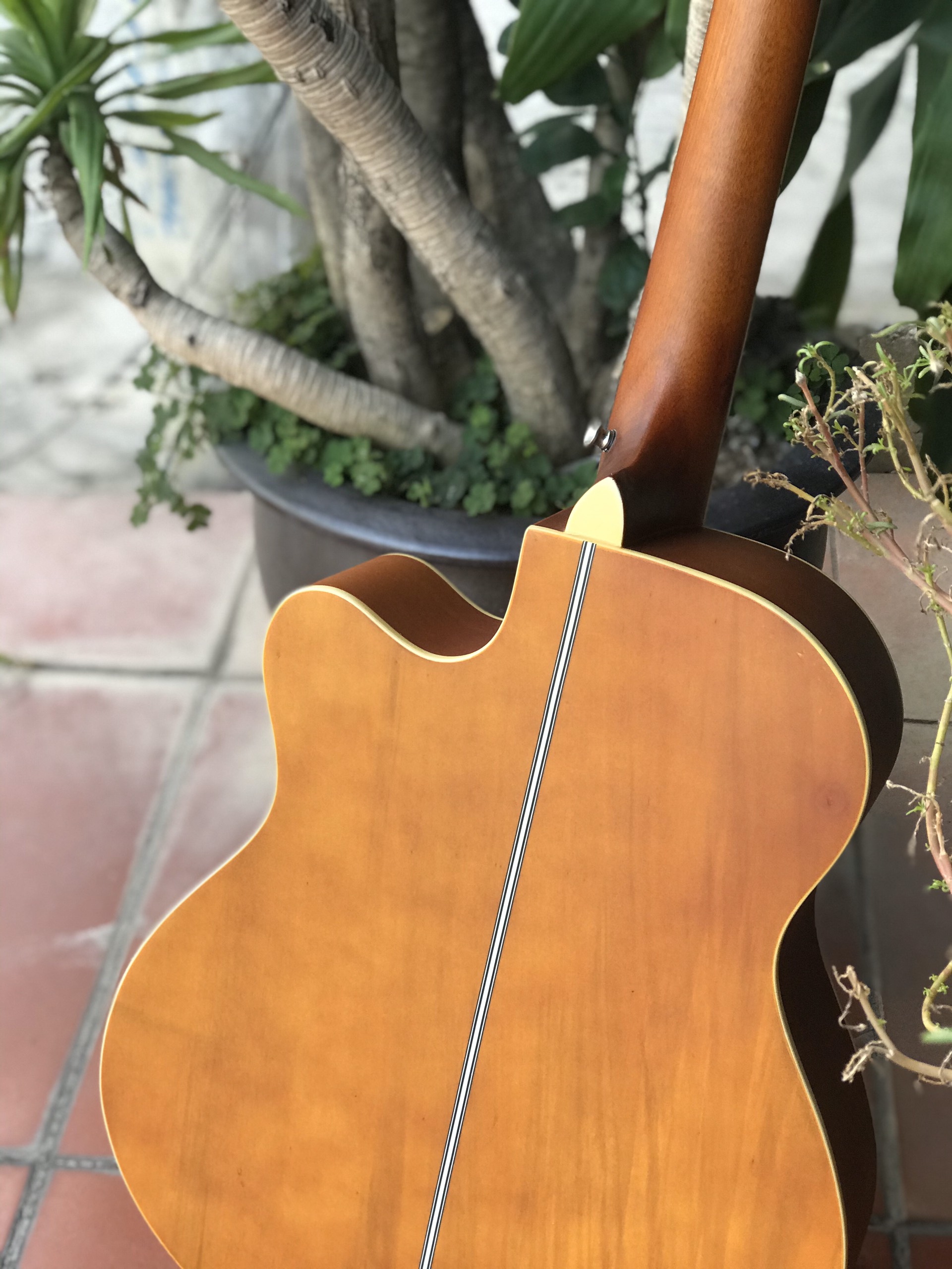 Đàn Guitar Acoustic Vines VA3940N Chính Hãng