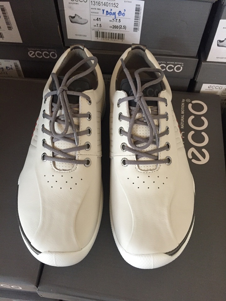 giày chơi golf eco (MEN)