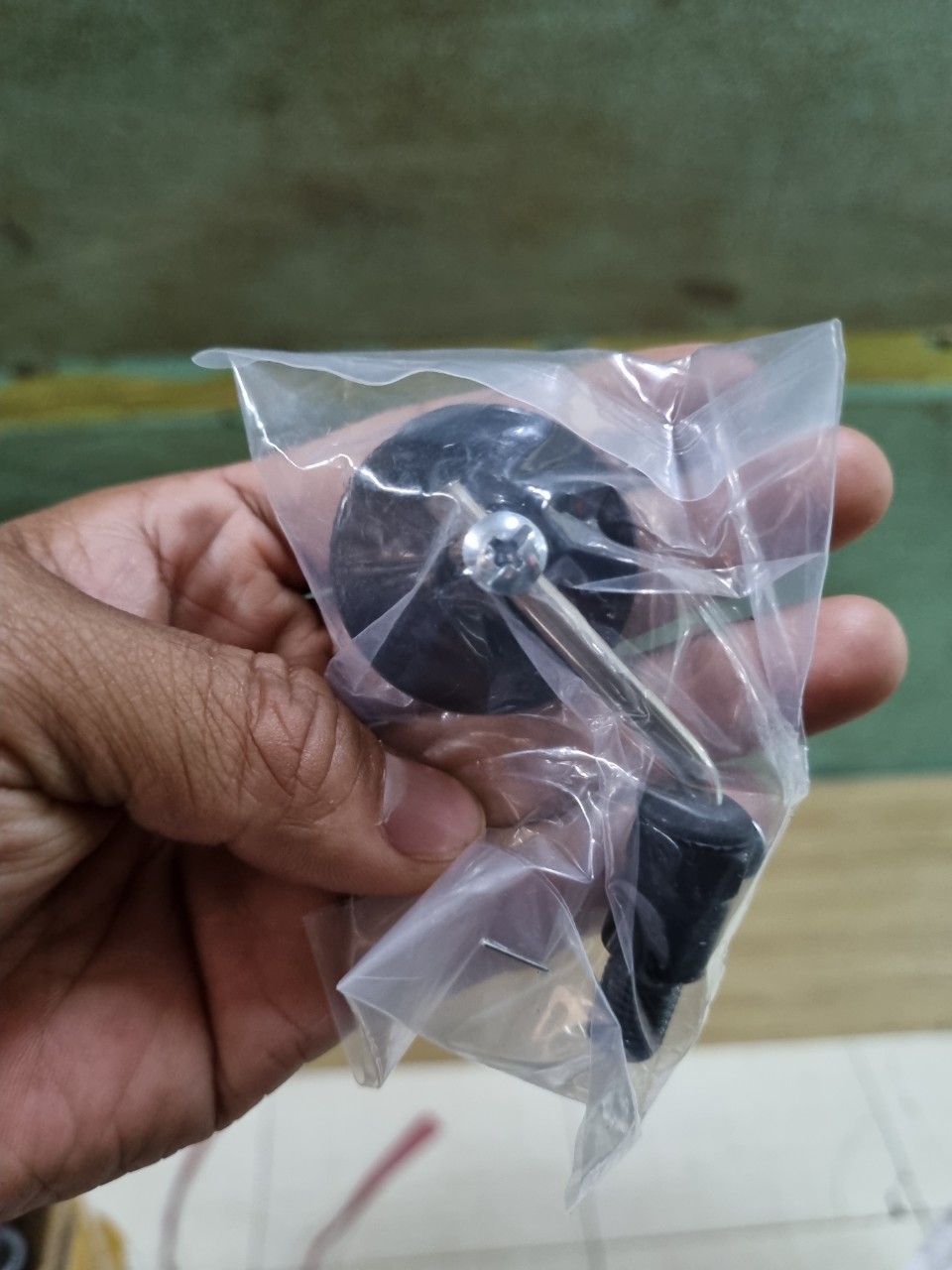 KIẾNG TRÒN NHỎ MINI